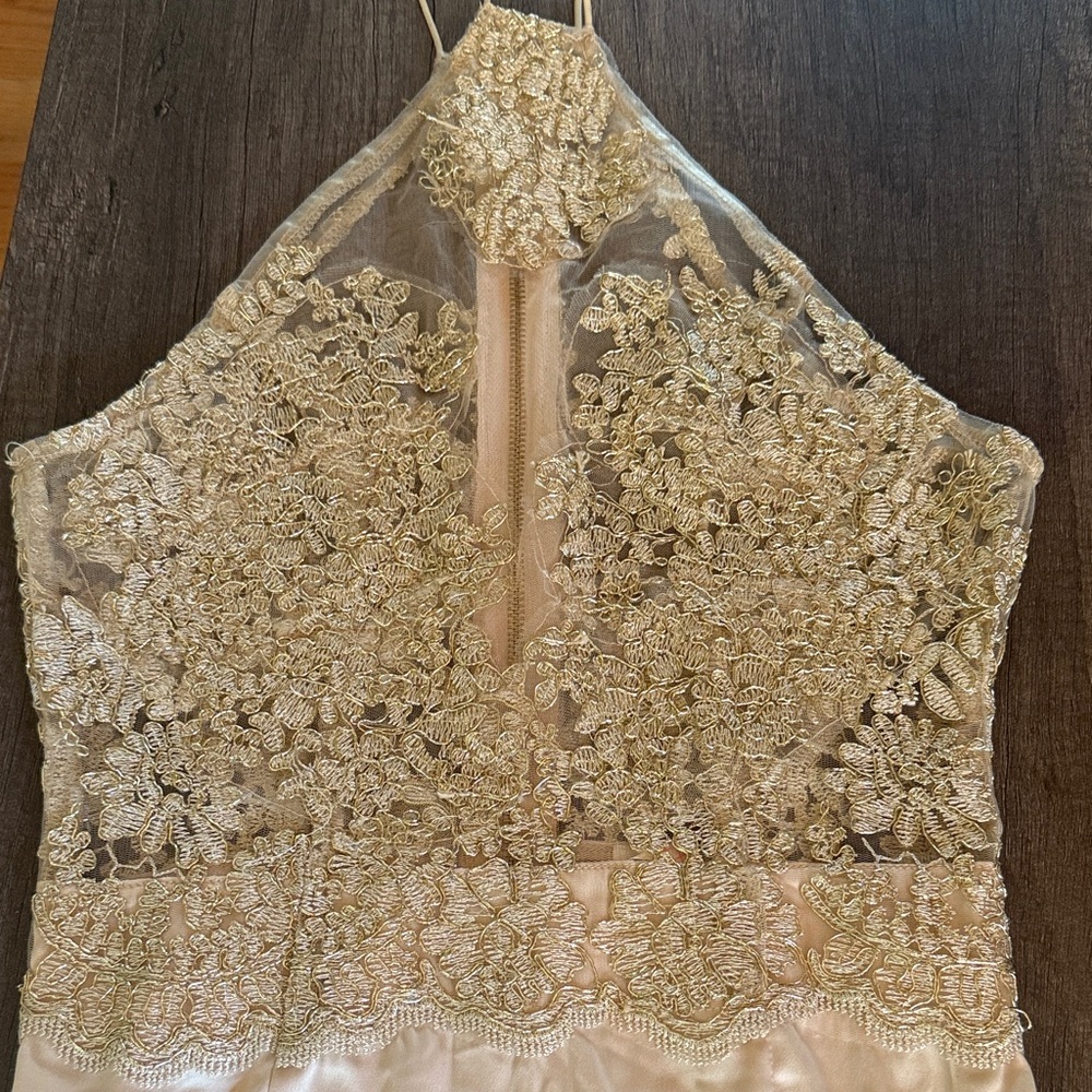 Luxxel Champagne Sheer Lace Satin Bodycon Mini Dress